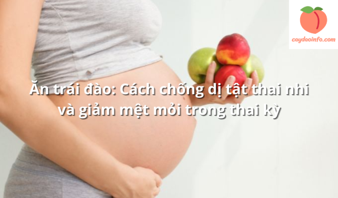 Ăn trái đào: Cách chống dị tật thai nhi và giảm mệt mỏi trong thai kỳ