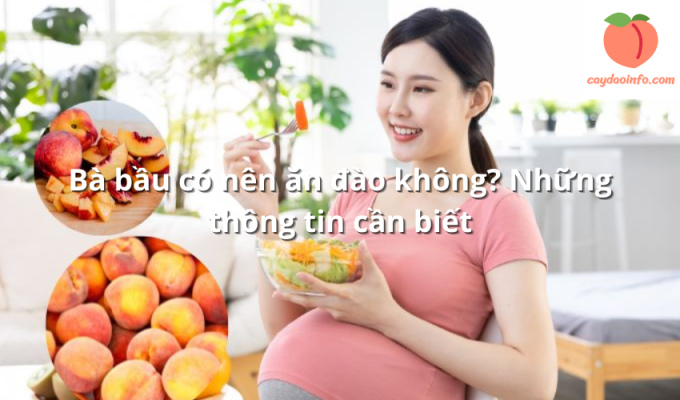 Bà bầu có nên ăn đào không? Những thông tin cần biết