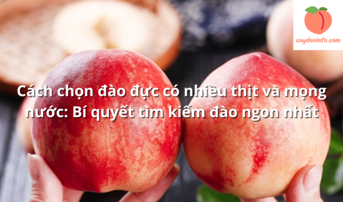 Cách chọn đào đực có nhiều thịt và mọng nước: Bí quyết tìm kiếm đào ngon nhất