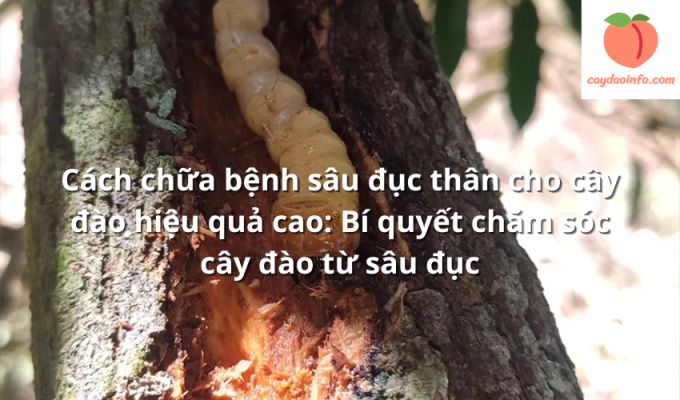 Cách chữa bệnh sâu đục thân cho cây đào hiệu quả cao: Bí quyết chăm sóc cây đào từ sâu đục