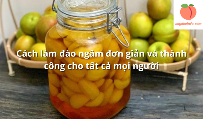 Cách làm đào ngâm đơn giản và thành công cho tất cả mọi người