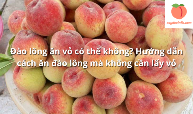 Đào lông ăn vỏ có thể không? Hướng dẫn cách ăn đào lông mà không cần lấy vỏ