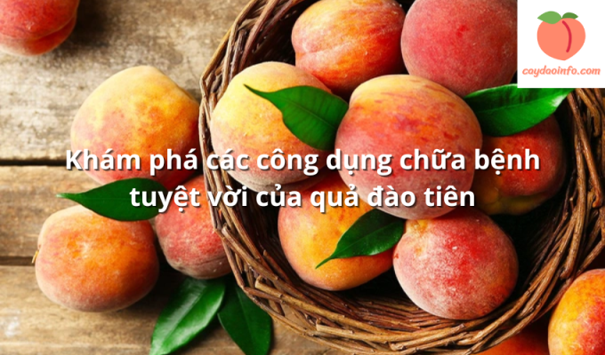 Khám phá các công dụng chữa bệnh tuyệt vời của quả đào tiên