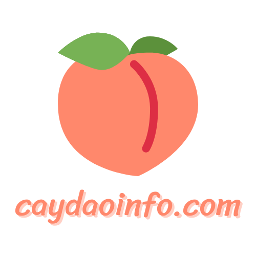 caydaoinfo.com