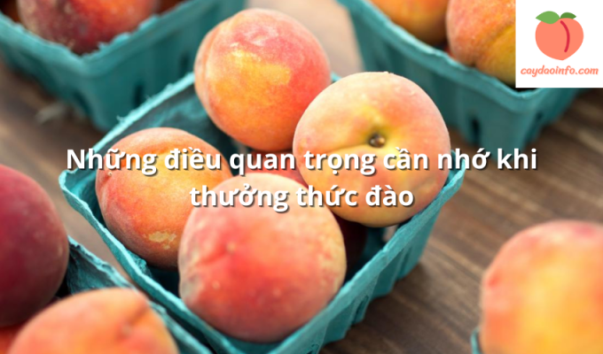 Những điều quan trọng cần nhớ khi thưởng thức đào